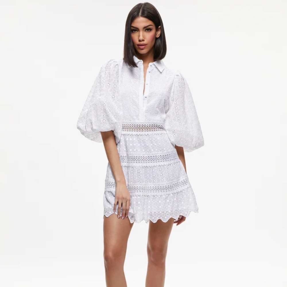 Alice + Olivia Blakesley Blouson Eyelet Mini Dress